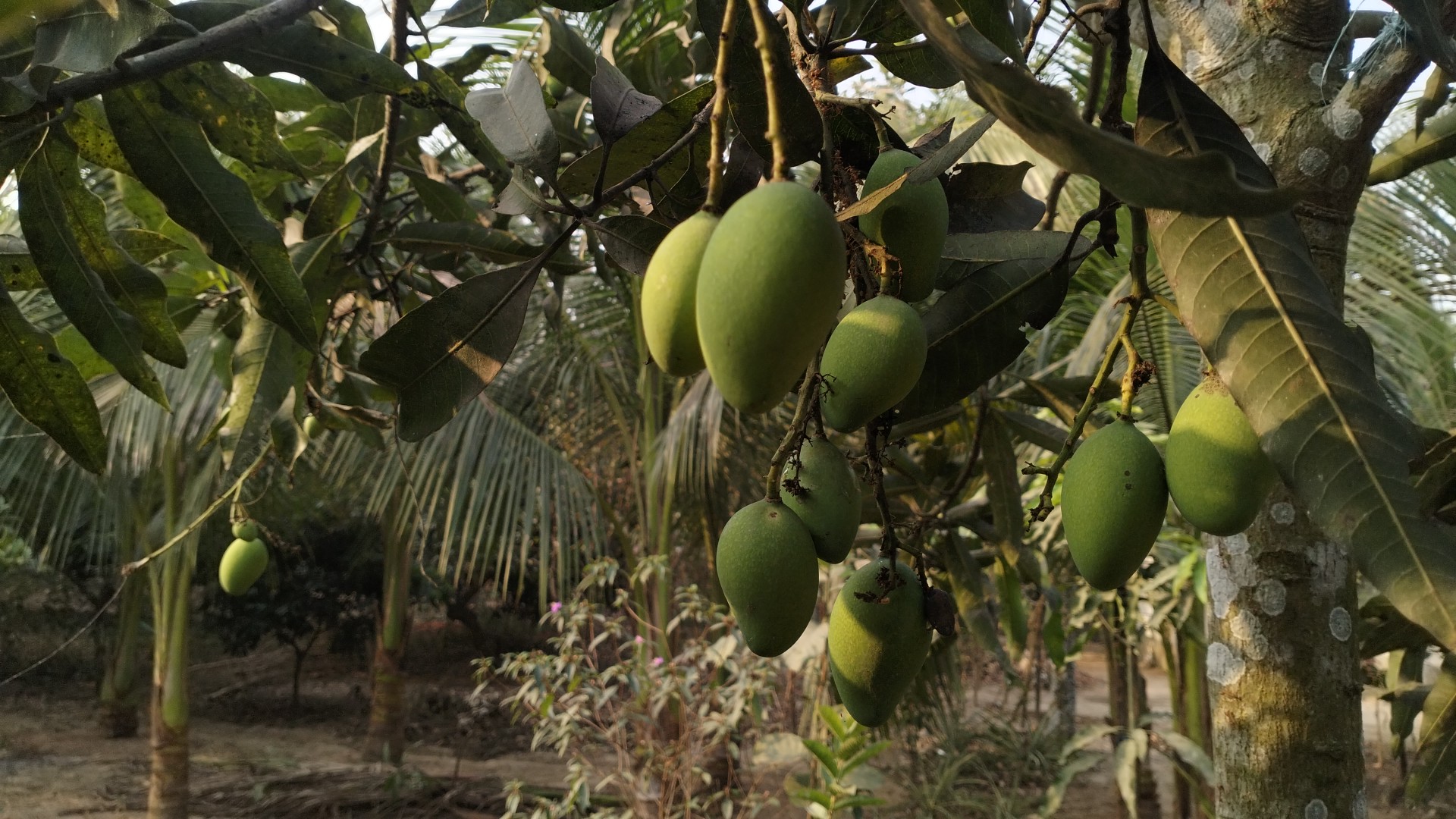 আমার আমি