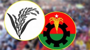 যেসব আসনে জয় পেল বিএনপি